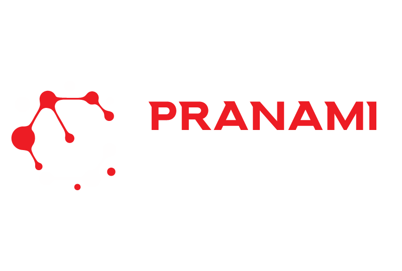 Pranami Acid and Chemicals